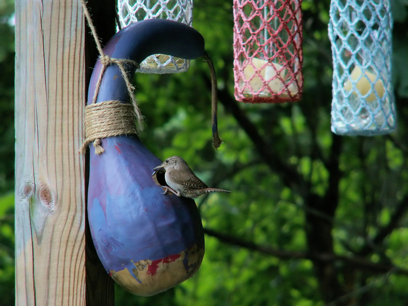 Rubbish removal waste disposal